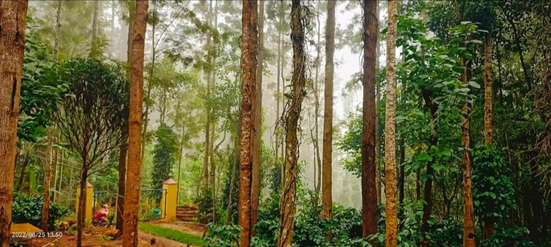 Sp Resort Inn Yercaud Exterior foto